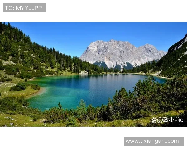 在沃尔登湖畔追寻内心的宁静与自然的和谐之旅