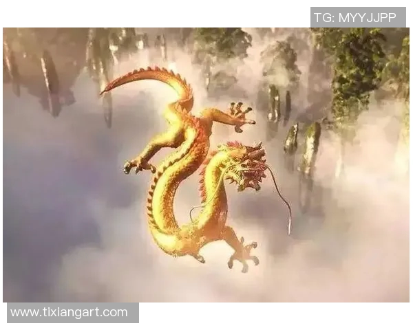 史鸿飞的传奇人生与不屈精神探秘之旅