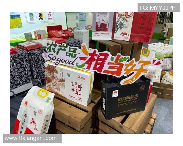 湖南快乐购引领电商新潮流助力消费者享受便捷购物体验与优质服务