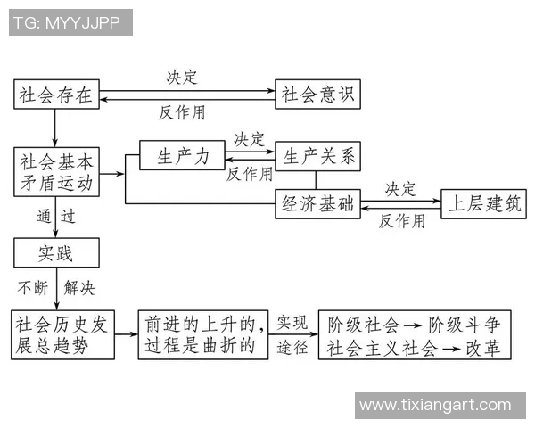 探索帕克莱利的魅力与影响力揭示其在现代社会中的重要角色与价值