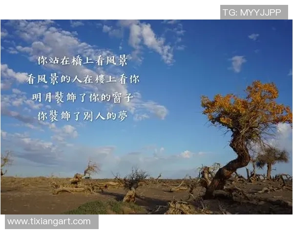 付豪的奋斗历程与成长故事：从平凡到卓越的心路历程与人生启示